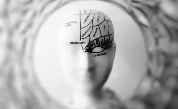 Which Part of the Brain is Related to Critical Thinking?